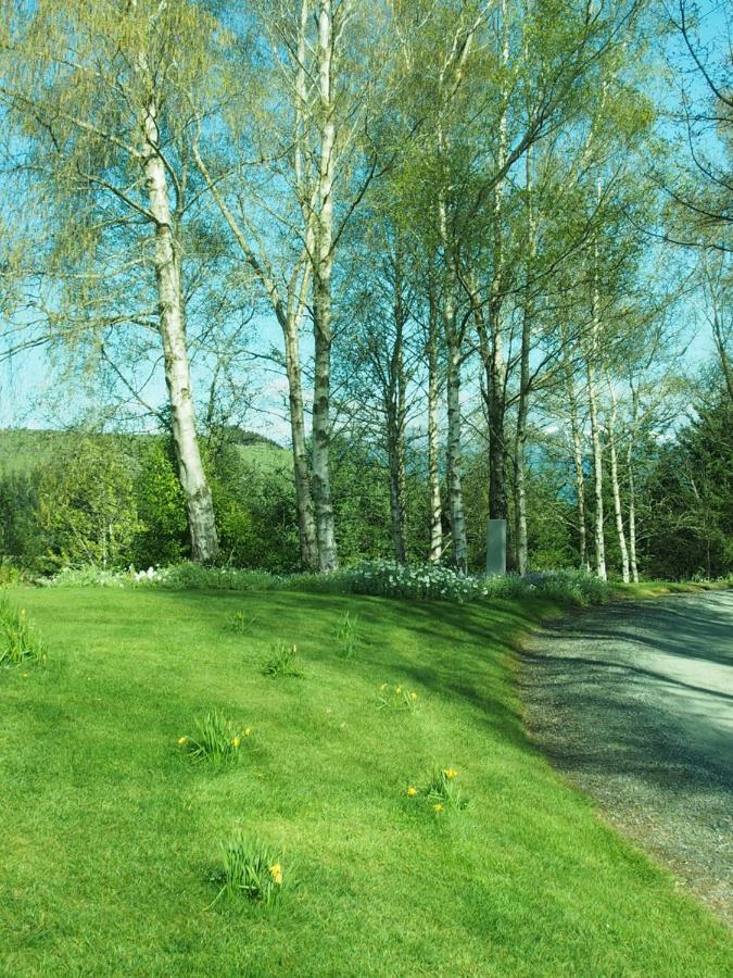 The Garden Room At Te Anau Country Accommodation Exteriér fotografie